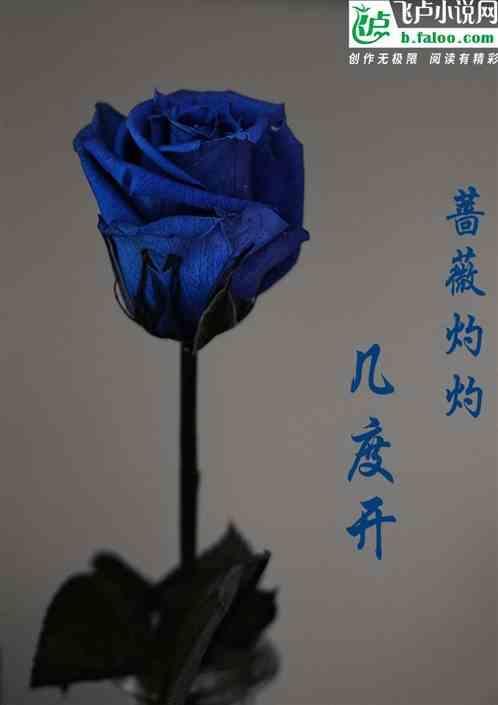 蔷薇hr