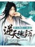 逆天斗魂师
