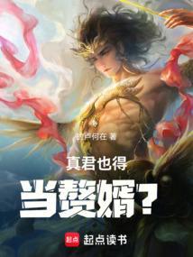 真君也得当赘婿