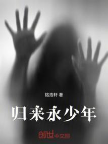归来的少年歌词