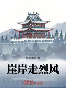 崖岸的意思