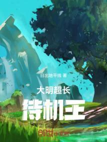 大明王侯 最新章节 无弹窗
