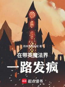 在带英魔法界一路发疯全本