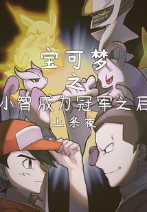 宝可梦之小智成为冠军之后是第几集