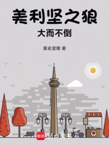美利坚大巫