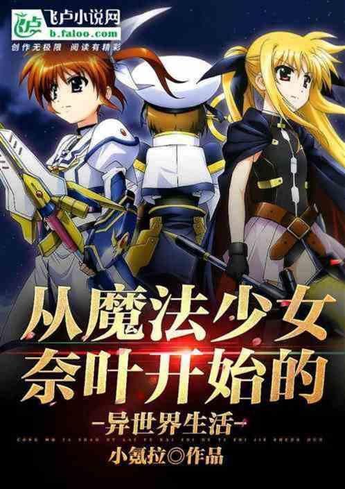 从奈叶世界开始的全新生活第二季