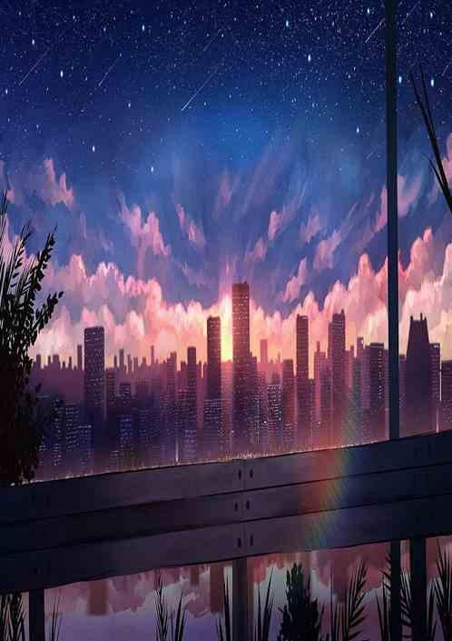 枫林晚