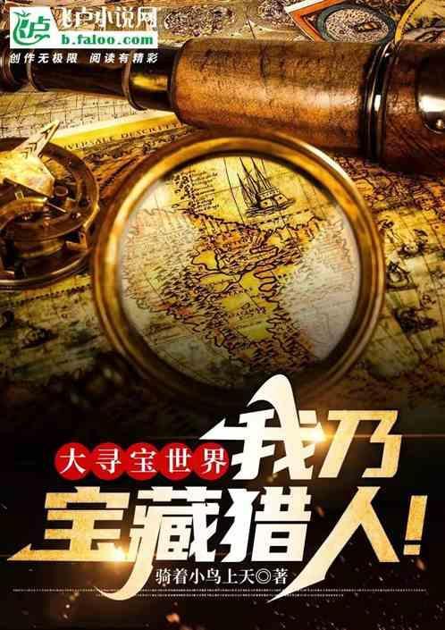 寻宝大王