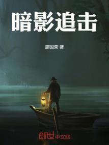 暗影追击电视剧免费观看