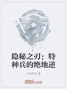 隐密剑士