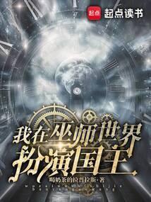 混在巫师世界的大领主