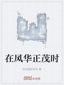 风华正茂时期