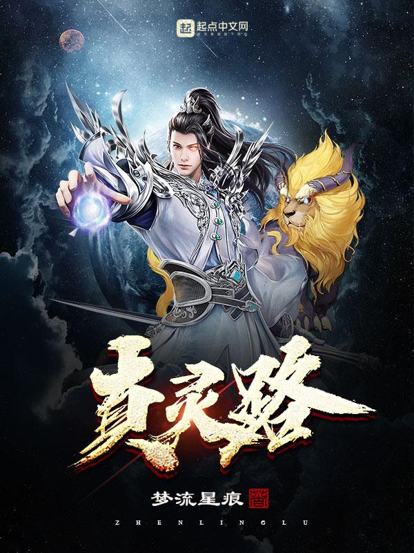 真灵路 梦流星痕