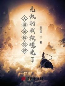 大道金榜
