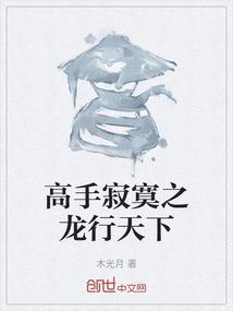 高手寂寞2免费