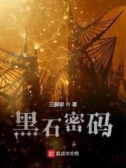 黑石密码的故事梗概