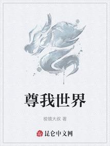 我的世界尊皇解说