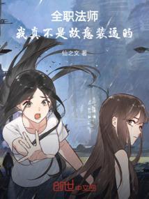 全职法师我真不是光系