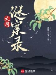 大周谜案录TXT