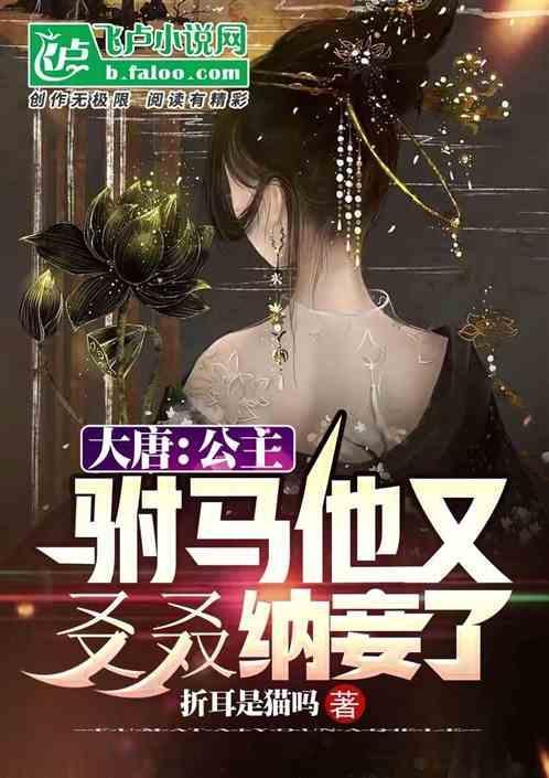 大唐小公主的驸马