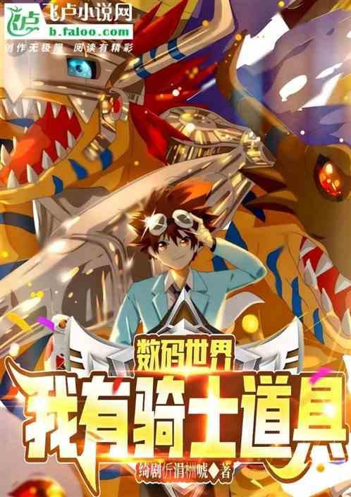 数码世界里的骑士