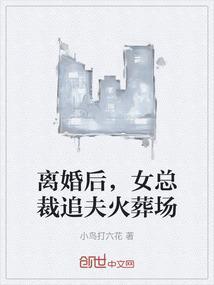 离婚后女总裁追夫火葬场