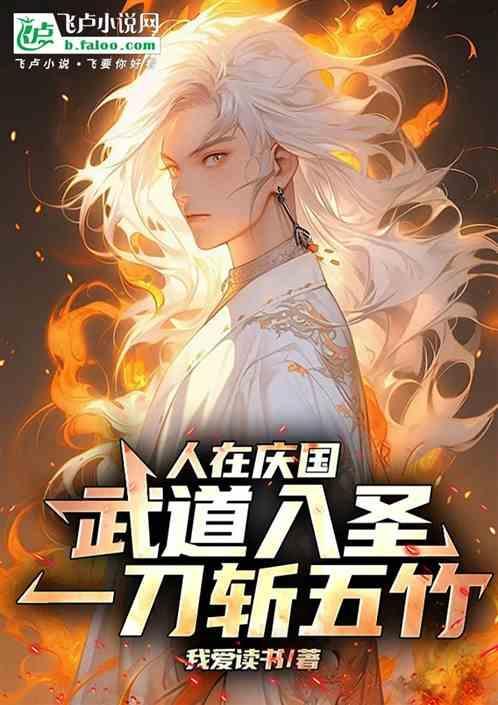武道入圣
