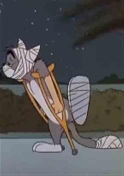 明星看跑男