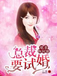 总裁要试婚