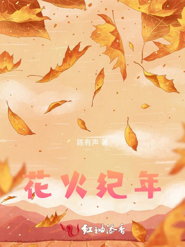 花火17年