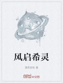 风启组合
