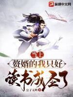 赘婿当道这部怎么样
