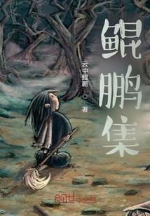 鲲鹏集团是什么公司