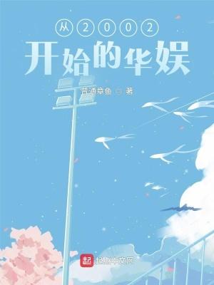 从2000年开始的华娱