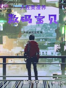 人在美漫养数码宝贝TXT