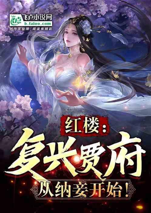 红楼复兴贾府从纳妾开始免费阅读