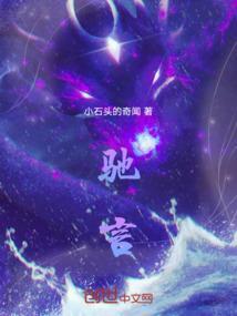 驰言行凶什么意思
