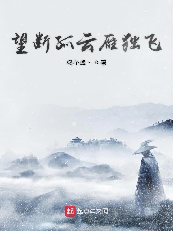 孤雁独自飞