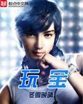 玩宝大师笔趣阁