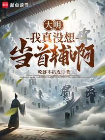 大明我真没想当首辅啊
