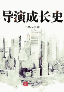 导演v7
