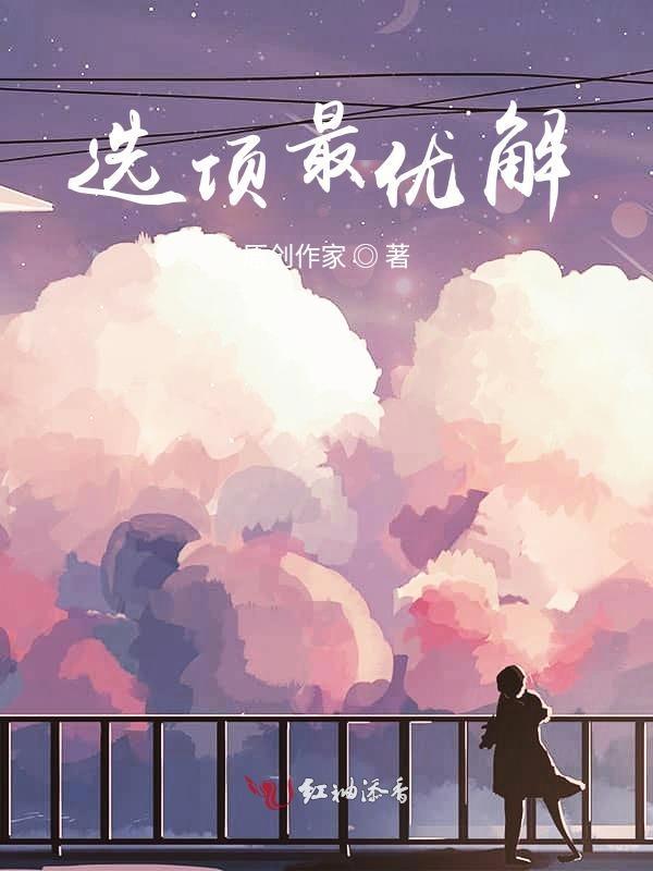 最优解的四种情况