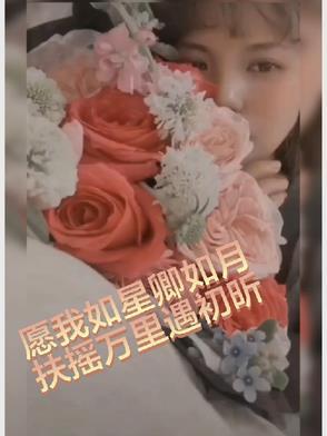 愿我如星君如月出处