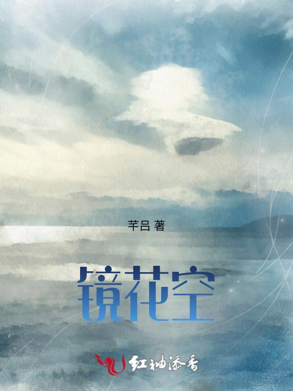 镜花雪月总是空