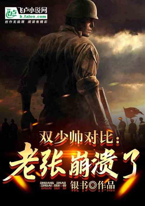 少帅的双面小娇妻免费阅读段书词