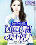 蚀骨强宠总裁妻