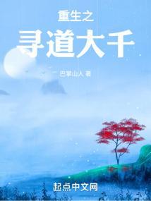 重生之寻妻之路