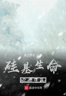 硅基生命之地球篇 信之所在