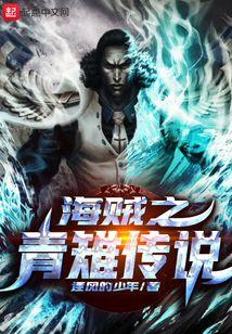 海贼之青雉传说 逐风的少年
