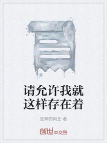 请允许我就这些问题讲几句话翻译